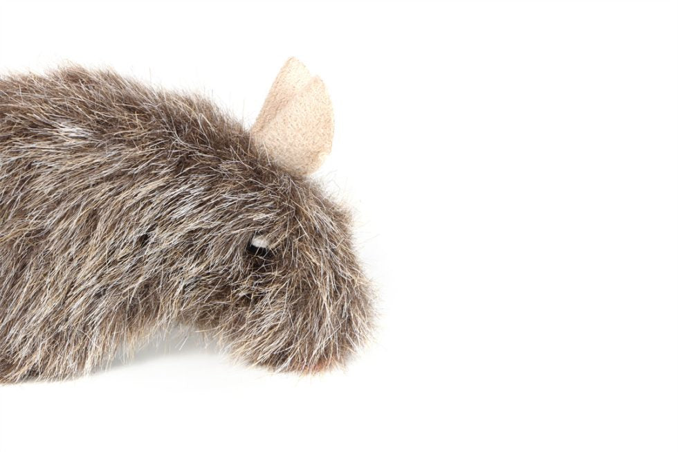 GiGwi – Refillable Catnip – Natural Mouse Cat Toy